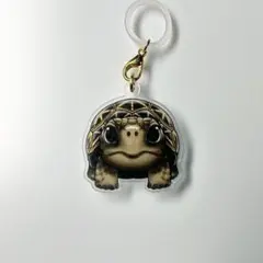 爬虫類目印チャーム　リクガメ　ホシガメ