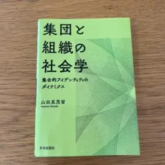 集団と組織の社会学 集合的アイデンティティのダイナミクス