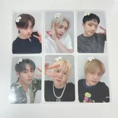 P1harmony Withmuu トレカ ヨントン 特典