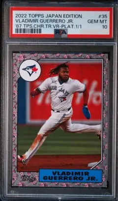 世界で1枚【送料込】PSA10 鑑定済 Topps MLB ゲレーロjr カード 世界で1枚【送料込】PSA10 鑑定済 Topps MLB ゲレーロjr カード