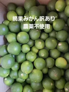 摘果みかん訳あり　箱込み6.5kgのサムネイル