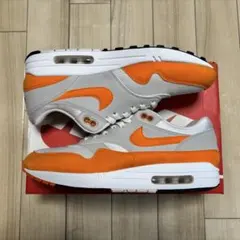「NIKE エアマックス1 マグマオレンジ 29cm
