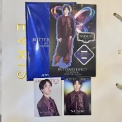 堀夏喜 アクスタ＋フォトカセット　BUTTERFLY EFFECT