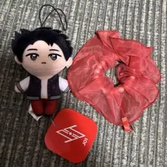 ね*こ様 【匿名・高速発送】JO1 GiGO限定 マスコットぬいぐるみ 金城碧海