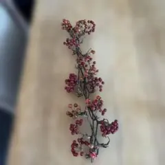 サンキライ　山帰来