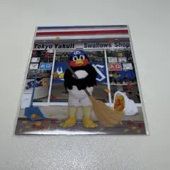 第15回東京ヤクルトスワローズオンラインくじ（つば九郎ver)