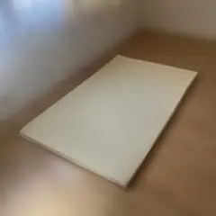 トゥルースリーパー シングル