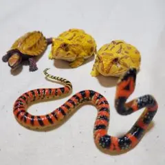 Item thumbnail for item da928105-d255-427e-8558-213a58198f4a