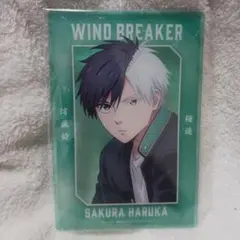 ウィンブレ　WIND BREAKER　桜遥