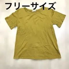 earth musik&ecologyマスタード色 半袖Tシャツ フリーサイズ