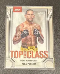 Item thumbnail for item d5558036-b09d-41af-a8a4-d64fbd90441e