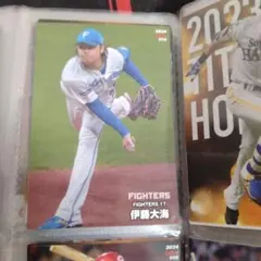 プロ野球 トレーディングカードセット　2024ほぼコンプリート限定品あり
