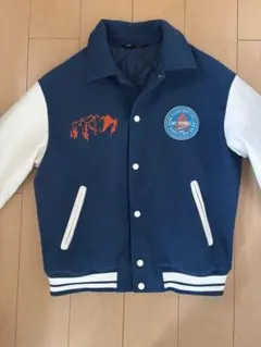 Item thumbnail for item 31cea692-530e-497d-a889-7a01a5a9433c