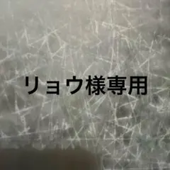 リョウ様専用