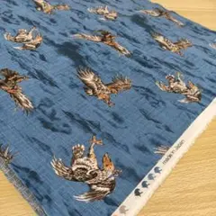 ★C264★ メイドインジャパン/ブランド/プリント生地/50cm