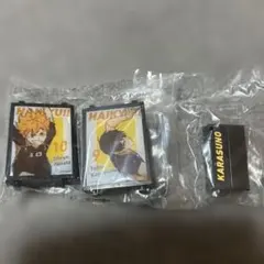 ハイキュー 日向翔陽 影山飛雄 ライトアップ ポスター コレクション 2点セット