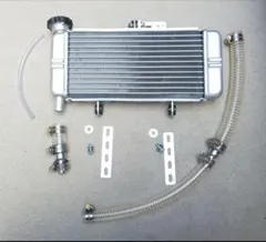 2025年最新】NS1ラジエーターの人気アイテム - メルカリ