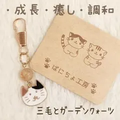 2025年最新】三毛猫チャームの人気アイテム - メルカリ