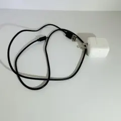 Apple 純正 iPhone iPad  ACアダプタ 充電器10W USB