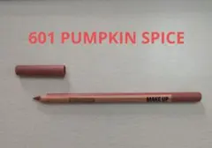 MAKE UP FOR EVER アーティストカラーペンシル 601