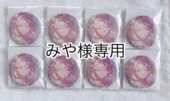 みや様専用プロセカ　グリッター缶バッジ