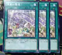遊戯王カード 霊獣の誓還ノーマル 3枚セット 未使用品