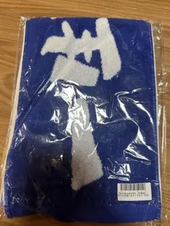 Item thumbnail for item ea8efa03-09cf-4f2d-b1e1-ec1b8b7d2883