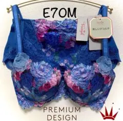 ＊E70M トリンプ プレミアム レッドレーベル0088 ブラ＆ショーツBlue