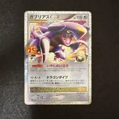 ガブリアス25th