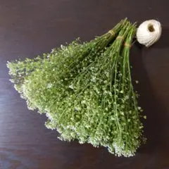 きよの様 リクエスト 2点 まとめ商品