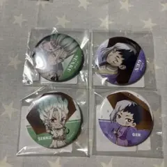Dr.STONE ドクスト 千空 レイニーデイ DMMスクラッチ 缶バッジ SD