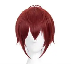 リドル　ウィッグ　コスプレ