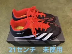 Item thumbnail for item 8f122b60-458a-4153-b481-33afa7cd7493