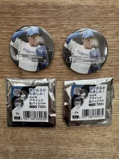 日本ハムファイターズ 缶バッジ セット売り 2026年最新】日本ハムファイターズ記念バッジの人気アイテム - メルカリ