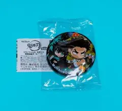 ぴた！でふぉめ 鬼滅の刃 無限城編弐 缶バッジ 竈門炭治郎＆冨岡義勇