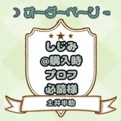 ねお様】ウィッグオーダーページ - メルカリ