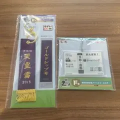 タイトーくじ ゴールドシップ キーホルダー 2点セット