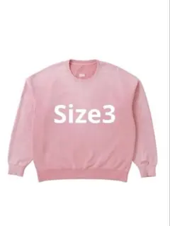 Item thumbnail for item efc91612-66aa-4795-8140-c761c9542a05