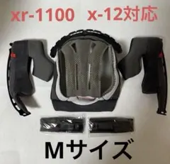 2026年最新】xr-1100 シールドの人気アイテム - メルカリ