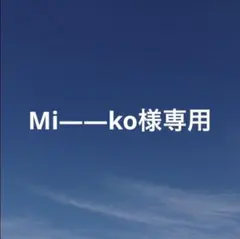Mi――ko様 リクエスト 2点 まとめ商品