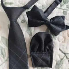 ネクタイ&チーフと蝶ネクタイセット(11)