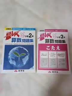ひ*ん様 最レベ 小学2年 算数問題集