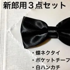 新郎　小物　蝶ネクタイ　セット　結婚式　ポケットチーフ　ハンカチ　近く販売終了