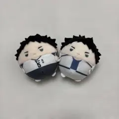 ハイキュー!! 赤葦京治 ふわコロりん 2つセット