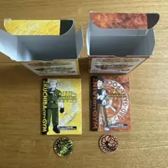 ポケモンカード ポケモンジム クチバシティジム マチス ニビシティジム