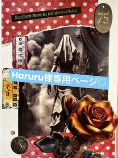 Haruru様 リクエスト 5点 まとめ商品