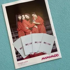 MAMAMOO ママム 4WARD 台湾 限定 ムム神Tシャツ Mサイズ 白 MAMAMOO ママム 4WARD 台湾 限定 ムム神Tシャツ Mサイズ 白 - メルカリ