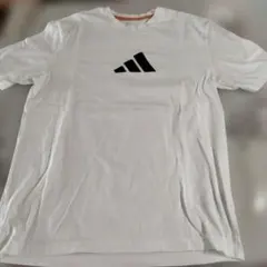 Item thumbnail for item 51135428-73be-4a91-89a6-5fbb3701989d