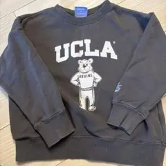 UCLA トレーナー スウェット グレー