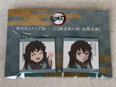 鬼滅の刃 時透無一郎 柱稽古編 描き下ろし みにきゃら 繋がるスクエア缶バッジ